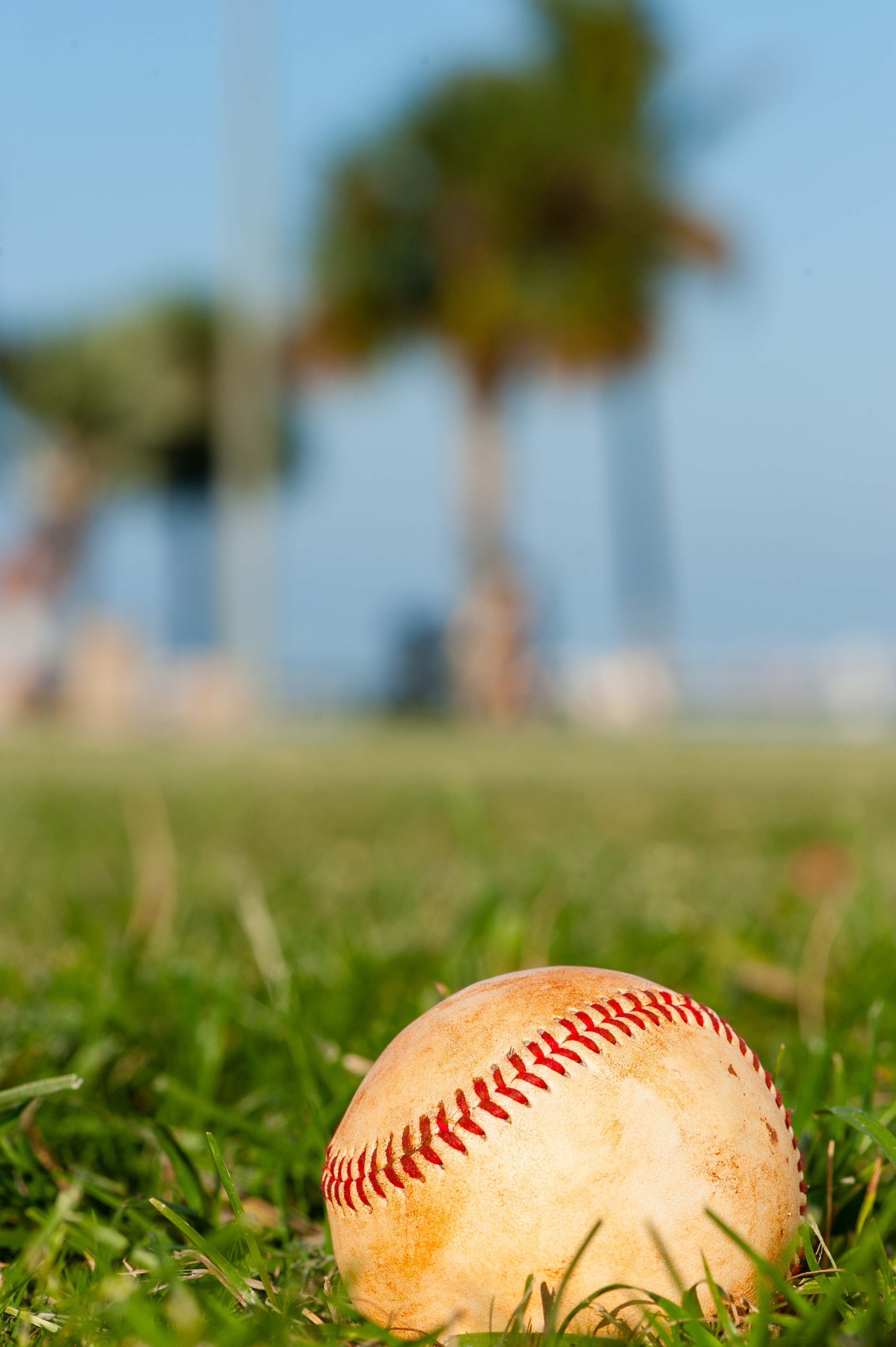 Shutterstock 2446610997